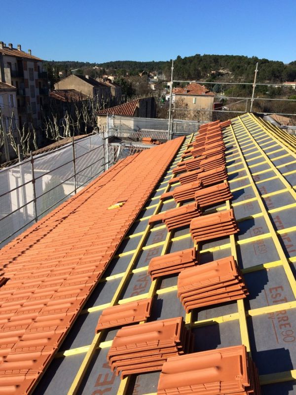 Réfection de toiture Altitude Bois